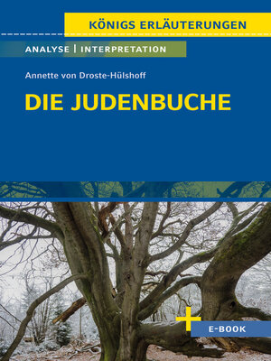 cover image of Die Judenbuche von Annette von Droste-Hülshoff--Textanalyse und Interpretation
